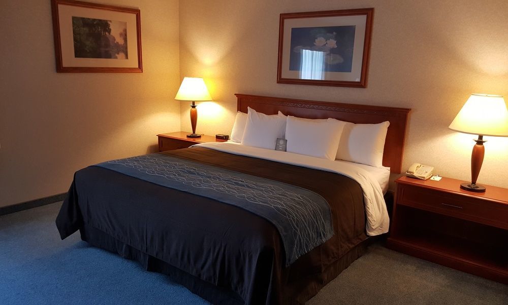 Comfort Inn & Suites ויקטוריה מראה חיצוני תמונה