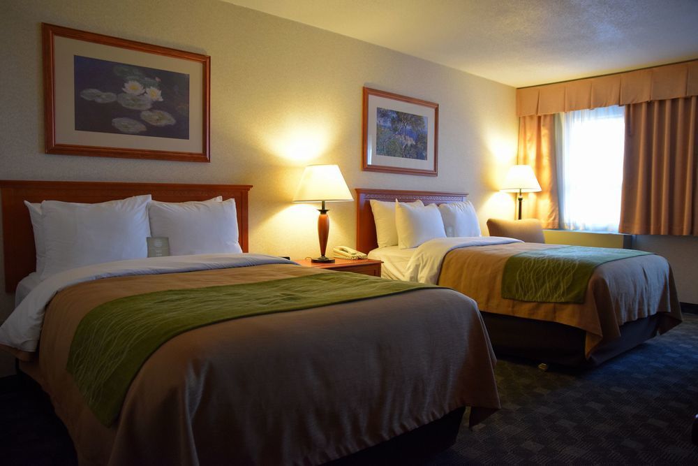 Comfort Inn & Suites ויקטוריה מראה חיצוני תמונה