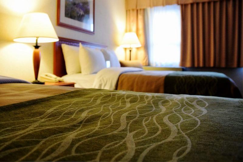 Comfort Inn & Suites ויקטוריה מראה חיצוני תמונה