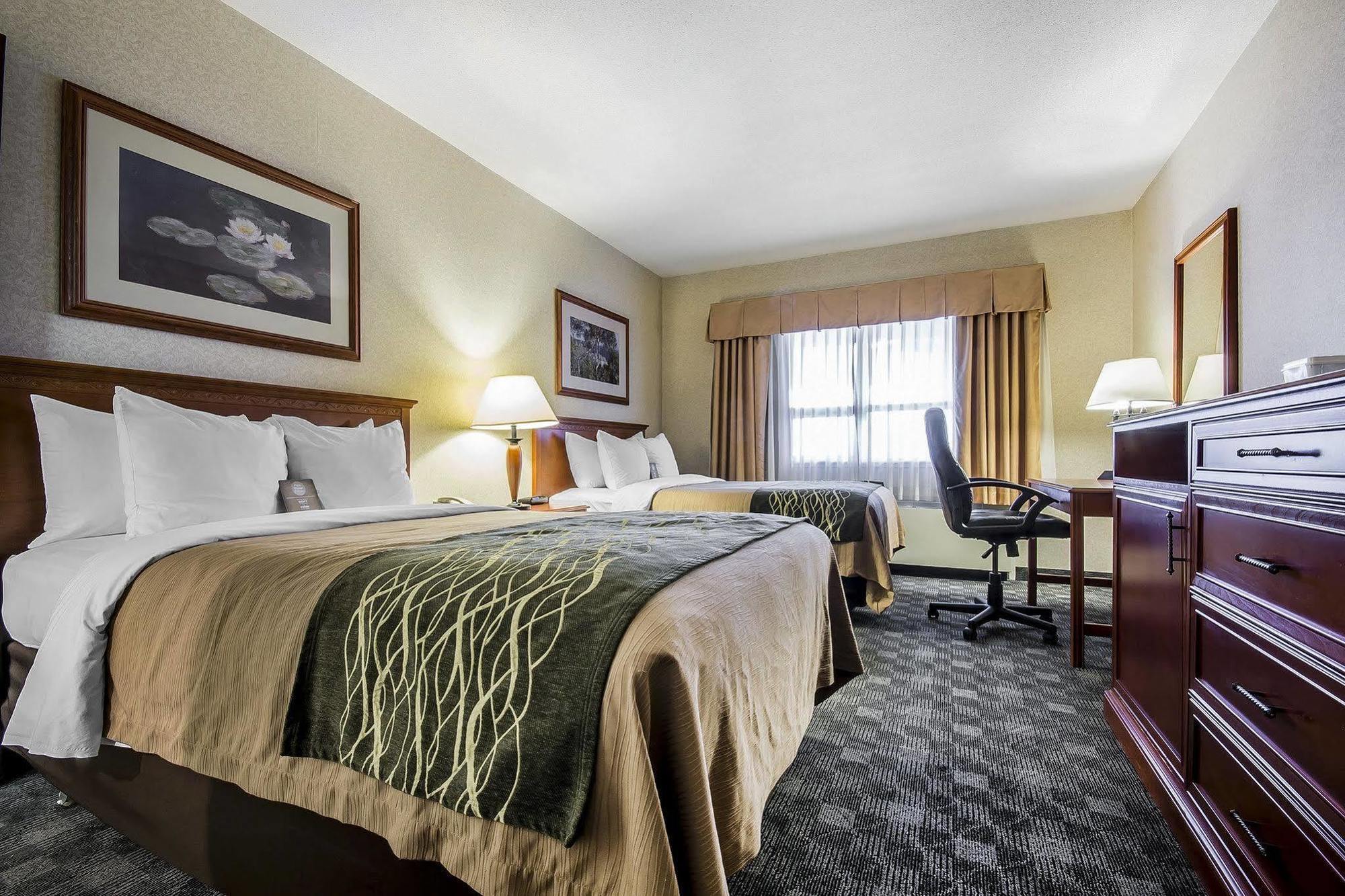 Comfort Inn & Suites ויקטוריה מראה חיצוני תמונה