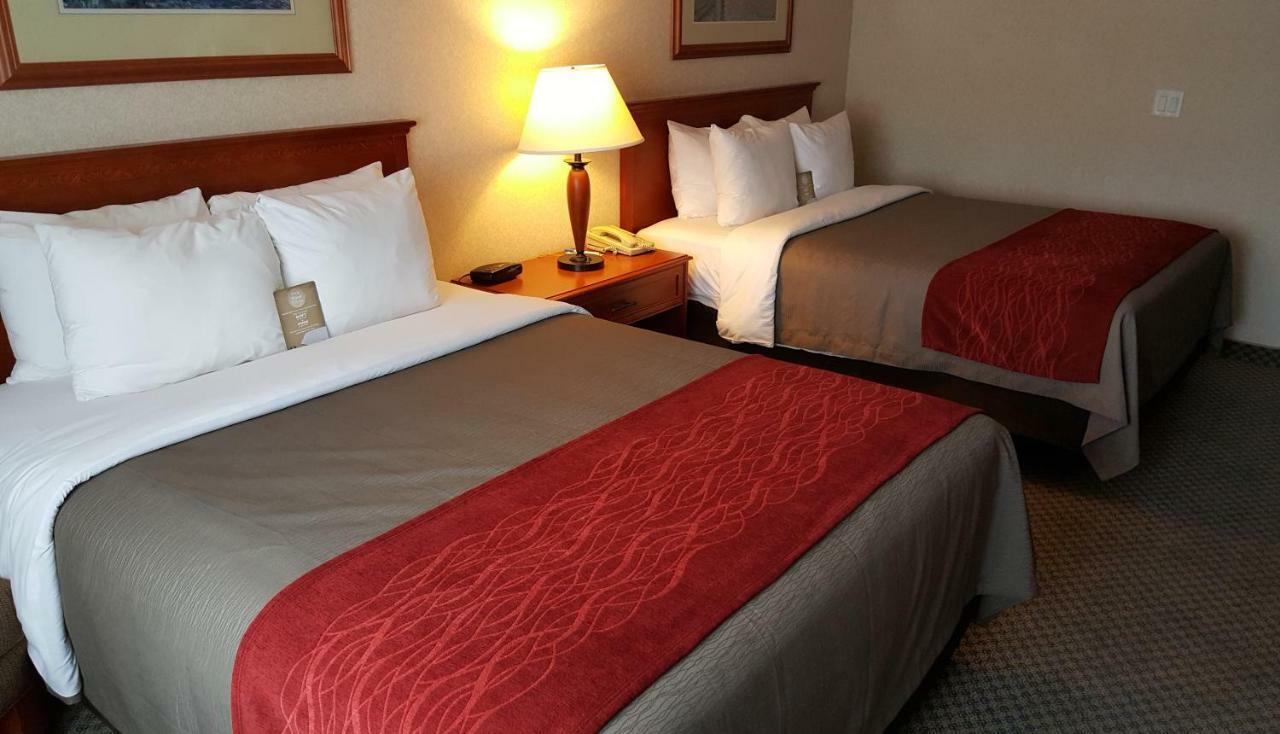 Comfort Inn & Suites ויקטוריה מראה חיצוני תמונה