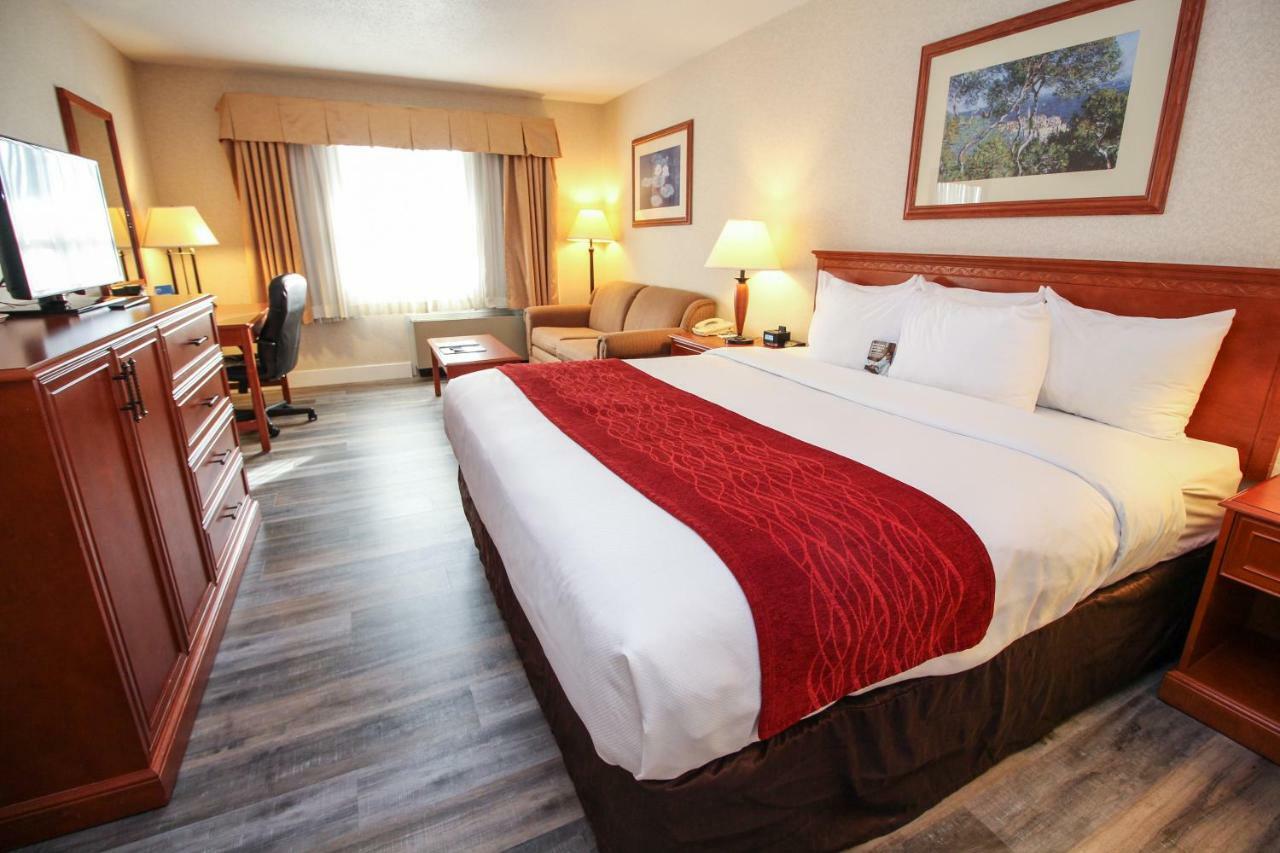 Comfort Inn & Suites ויקטוריה מראה חיצוני תמונה