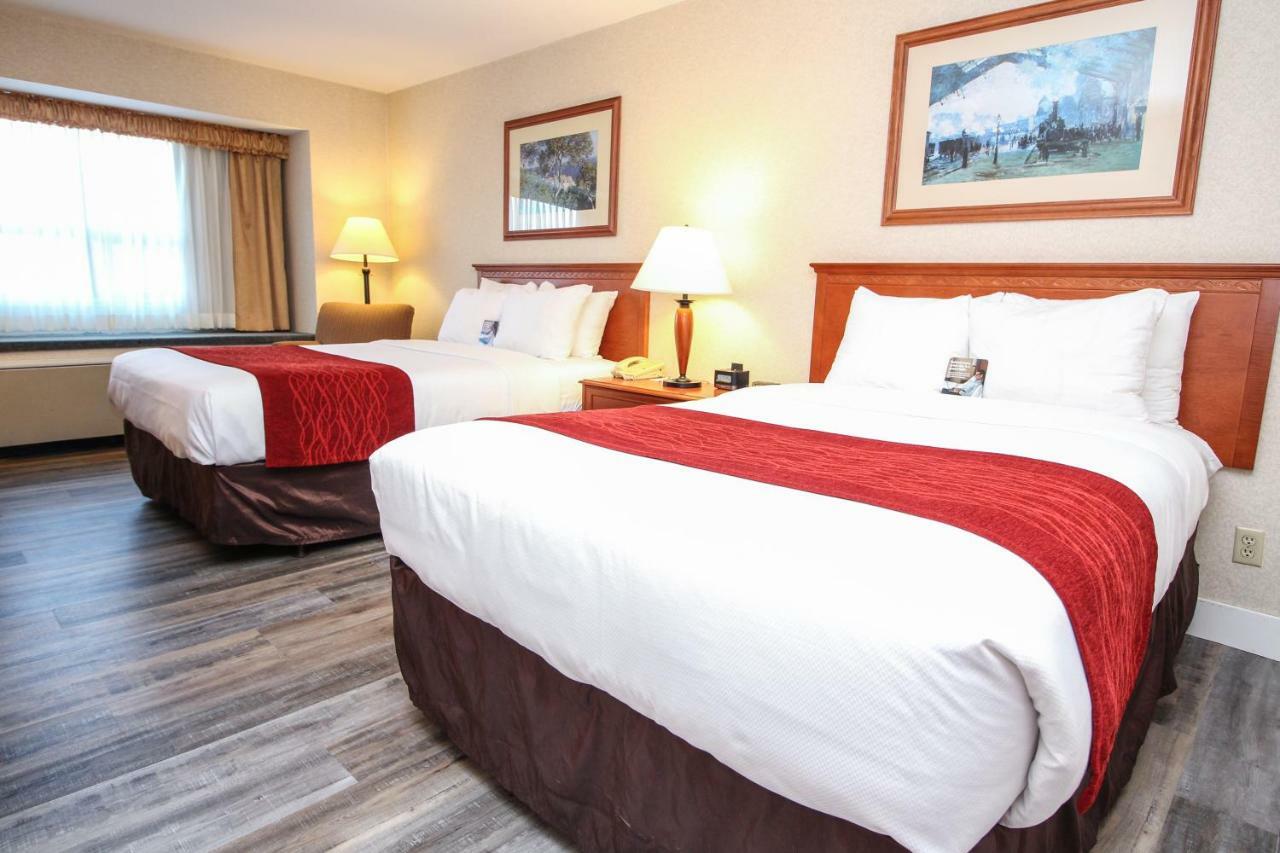 Comfort Inn & Suites ויקטוריה מראה חיצוני תמונה